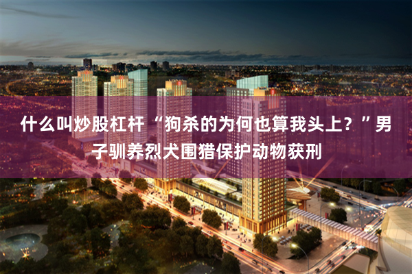 什么叫炒股杠杆 “狗杀的为何也算我头上？”男子驯养烈犬围猎保护动物获刑