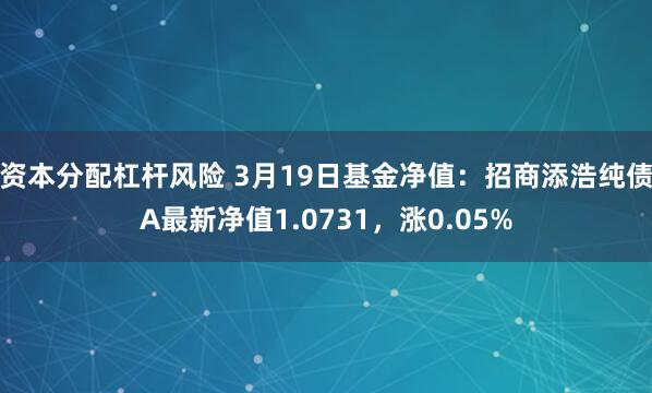 资本分配杠杆风险 3月19日基金净值：招商添浩纯债A最新净值1.0731，涨0.05%