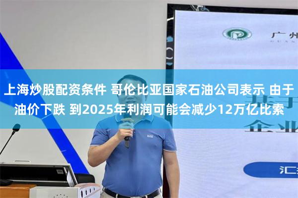 上海炒股配资条件 哥伦比亚国家石油公司表示 由于油价下跌 到2025年利润可能会减少12万亿比索