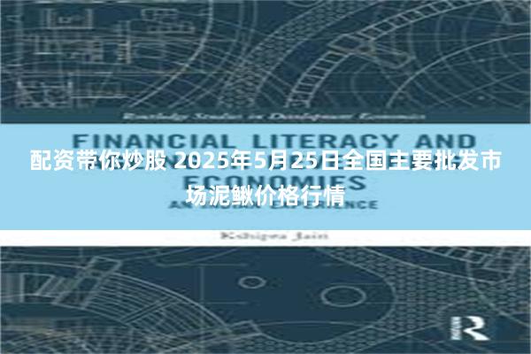 配资带你炒股 2025年5月25日全国主要批发市场泥鳅价格行情