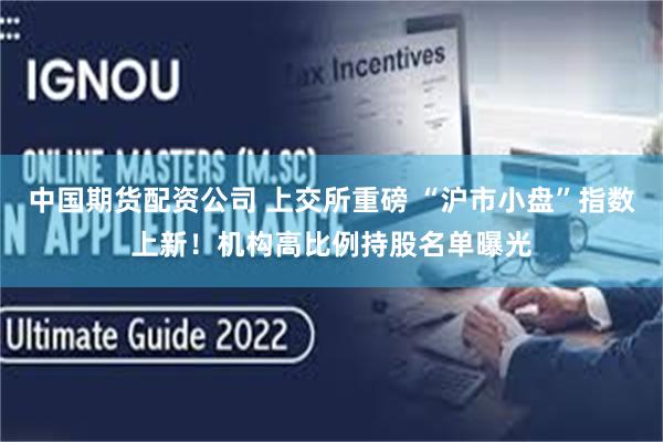 中国期货配资公司 上交所重磅 “沪市小盘”指数上新！机构高比例持股名单曝光