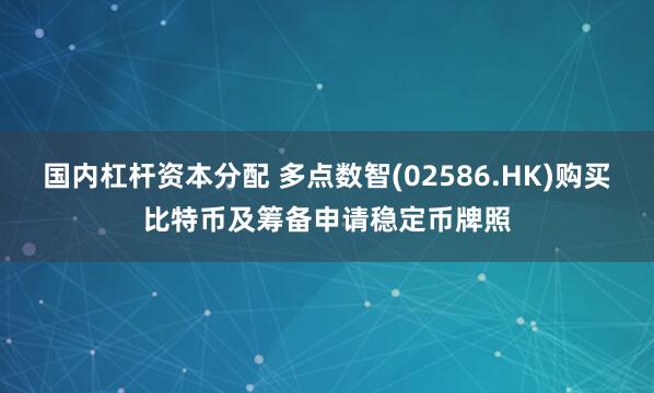 国内杠杆资本分配 多点数智(02586.HK)购买比特币及筹备申请稳定币牌照